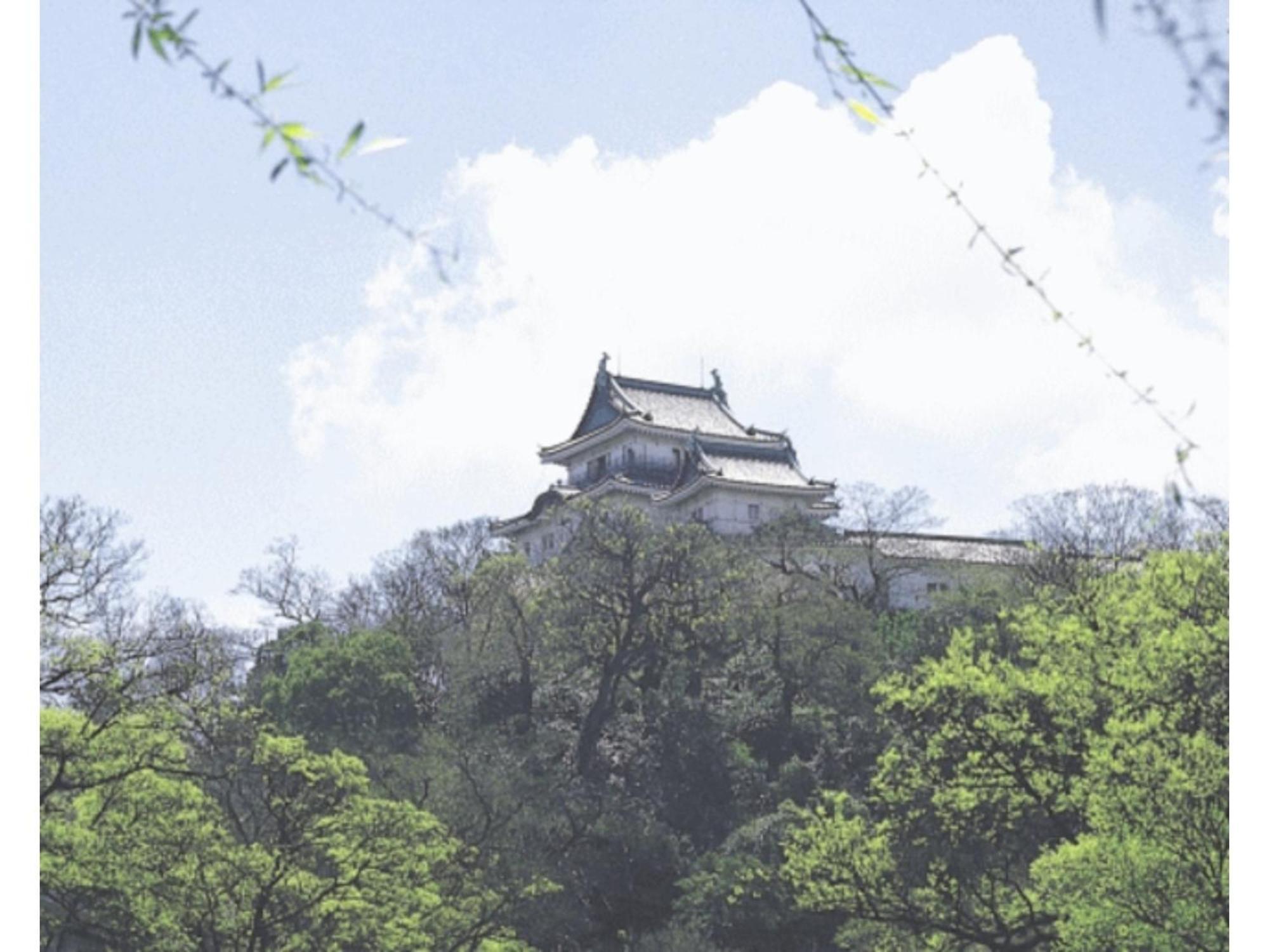 Business Hotel Katsuya - Vacation Stay 62170V Wakayama Exteriör bild